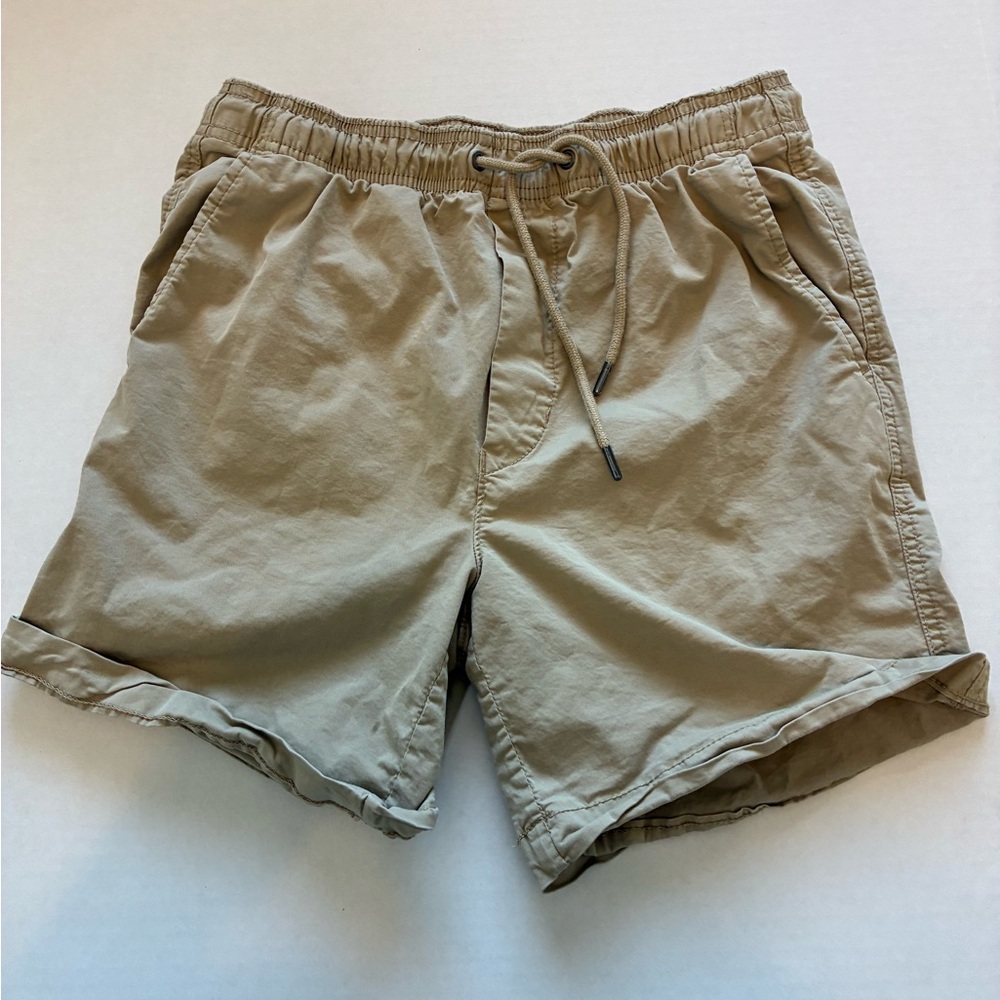 American Eagle Outfitters Tan Men's Flat Front Shorts